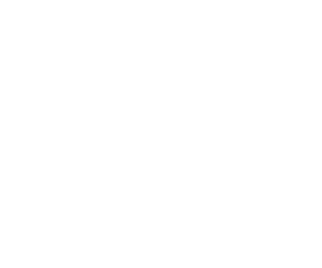 weston logo